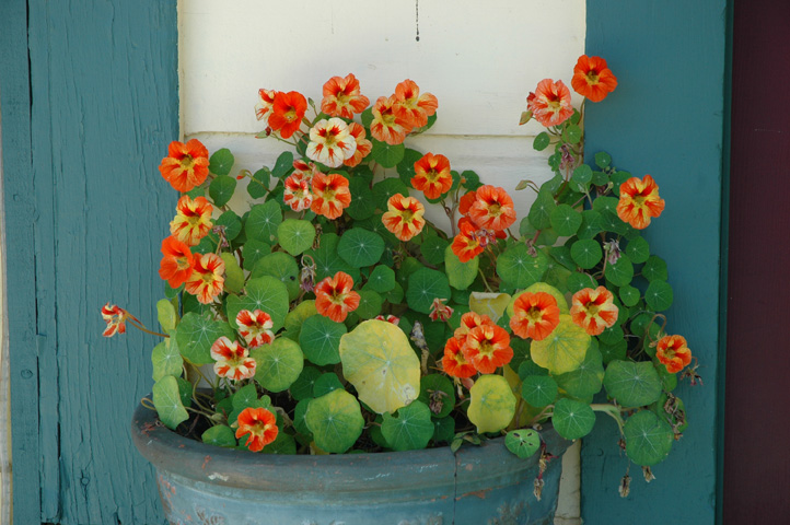 Cambria and Cayucos 048.jpg